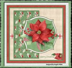 Red poinsettia