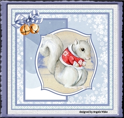 Winter squirrel