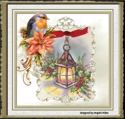 Robin in the lamplight