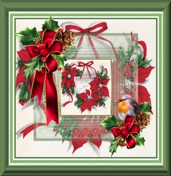 Christmas poinsettias