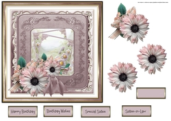 Pink daisy