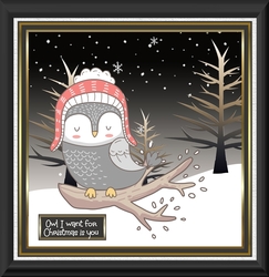 Owl I want  for Christmas