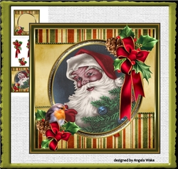 Festive Santa and robin