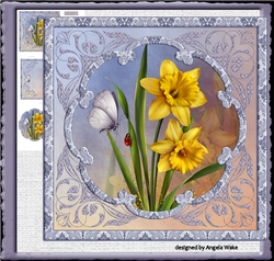 Spring daffodils