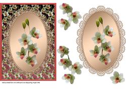 Lace Framed Camelias