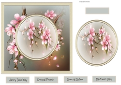 Cherry Blossom