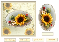 Sunflower