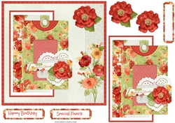 Mixed poppies