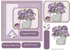 Pot of violet flowers