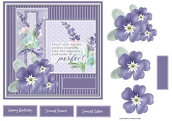 Lavender flower
