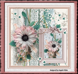 The pink daisy
