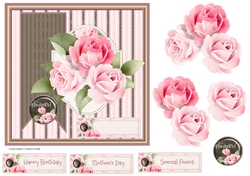 Beautiful roses