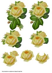 A Yellow Rose Spray of Beauty