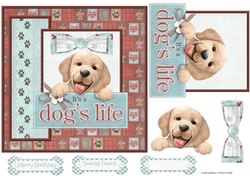 A Dogs life