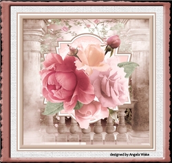 Rose without thorns