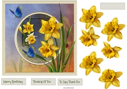 Dance with daffodils