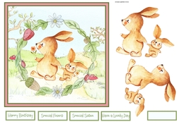 Rabbit and bunny spring walk