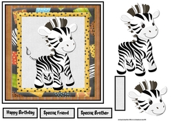 baby Zebra