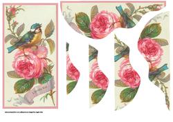 Rose and Chaffinch