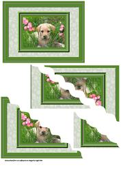 Golden Labrador Peeping