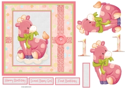 Baby girls first birthday