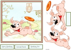 Frisbee puppy fun