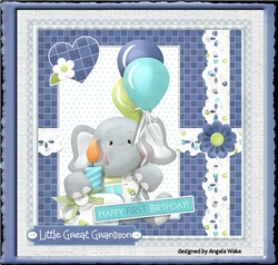 Baby boy elephant