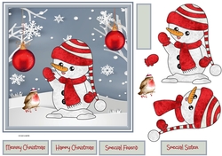 Robin and snowman