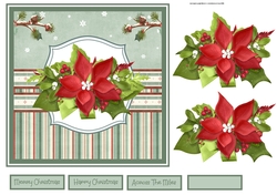 Christmas poinsettia