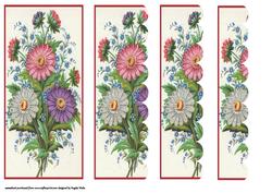 Mixed Dahlias
