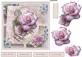 Birthday and anniversary rose