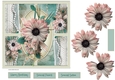 Pink daisy