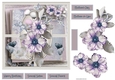 Purple anemones