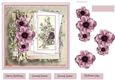 Anemones 7x7
