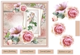 Pink rose 7x7