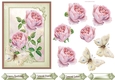 Blush rose and butterfly 5x7