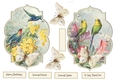 Bird and butterfly toppers