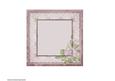 Camelia Rose Beauty Insert