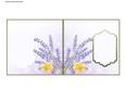 Spring Daffodil Insert
