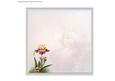 Iris Insert to Match Cup665806_8