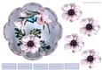 Anemone