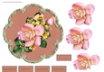 Pink rose
