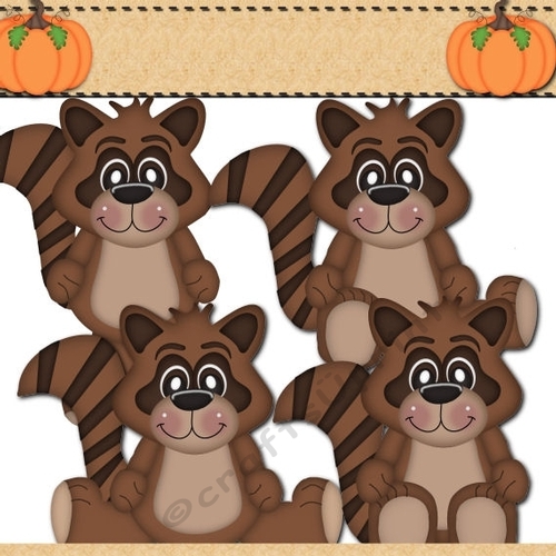 Raccoon Clipart