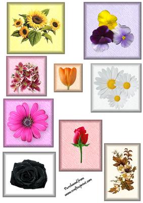 Floral Toppers