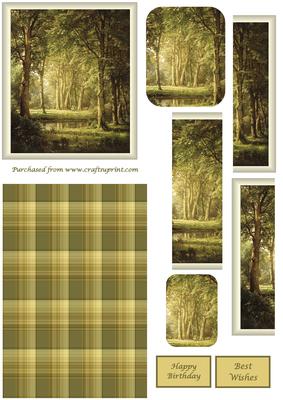 Summer Woodland
