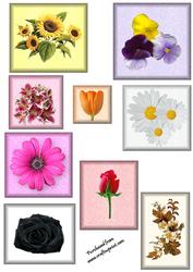 Floral Toppers