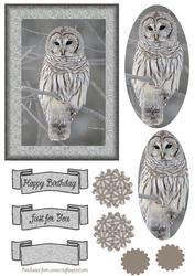 Barred Owl