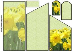 Daffodil Cascade