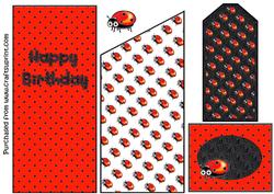 Ladybird Bookmark Card