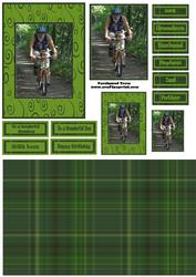 Mountain Biker
